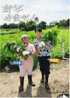 声线实验 音乐竞演综艺封面